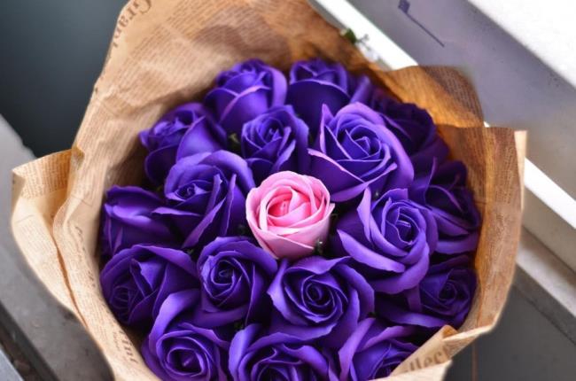 Koleksi gambar lilin mawar yang paling indah