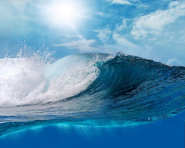 Résumé des plus belles vagues de l'océan