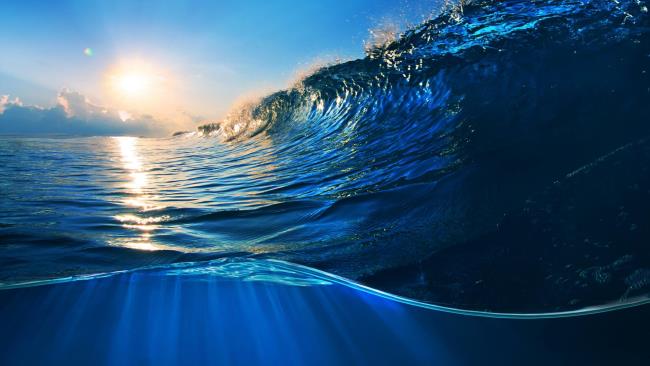 Résumé des plus belles vagues de l'océan