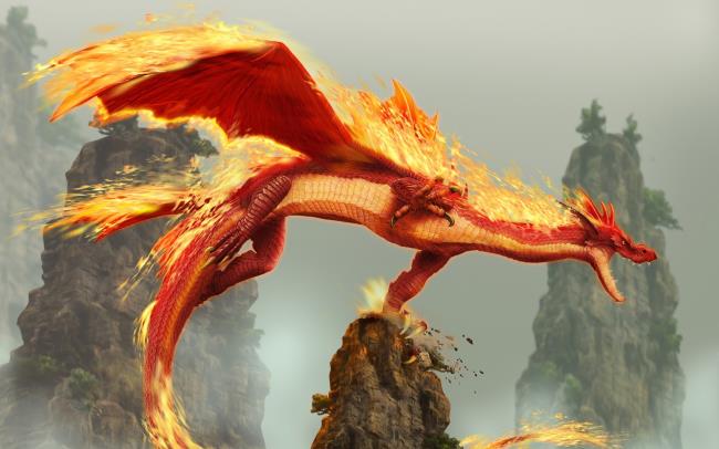 Las 50 imágenes más bellas del Dragón