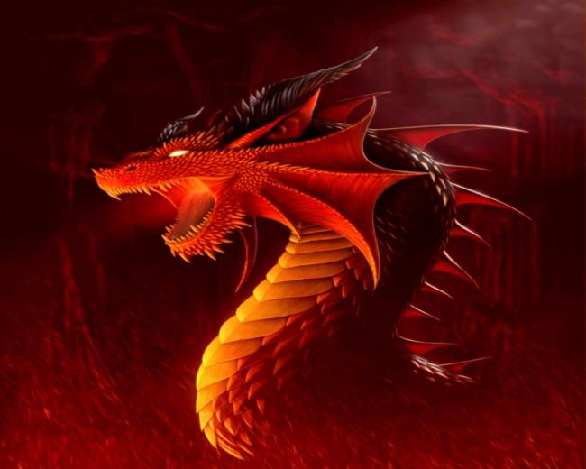 Top 50 most beautiful Dragon images