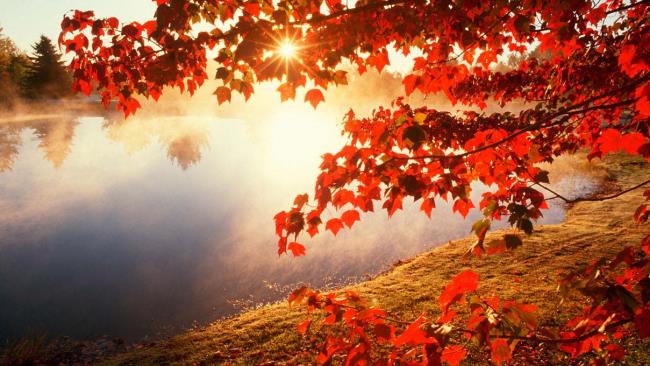 सबसे सुंदर शरद ऋतु छवियों का संग्रह