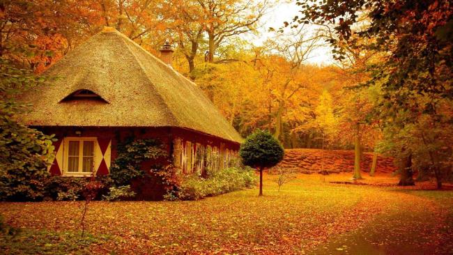 Collection des plus belles images d'automne