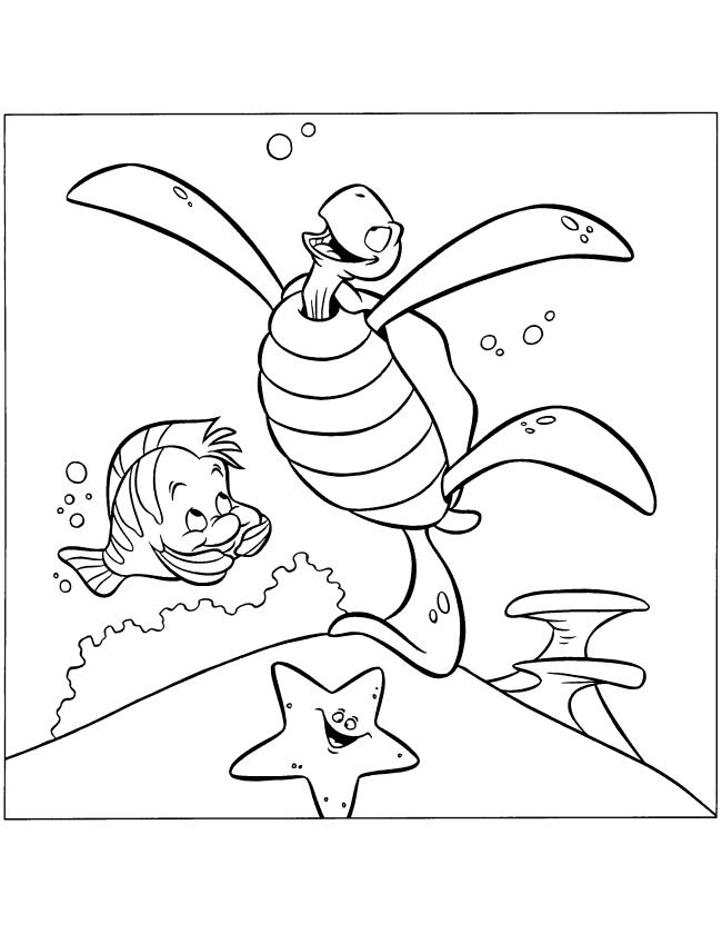 Collection of the most beautiful coloring pictures for baby turtles