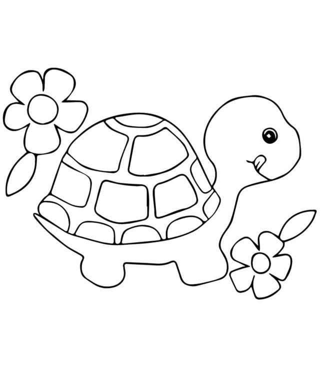 Verzameling van de mooiste kleurplaten voor babyschildpadden