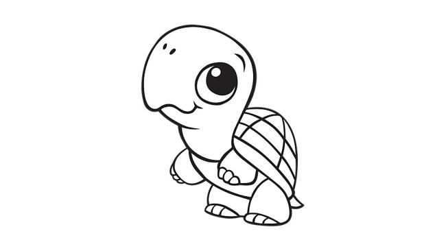 Collection of the most beautiful coloring pictures for baby turtles