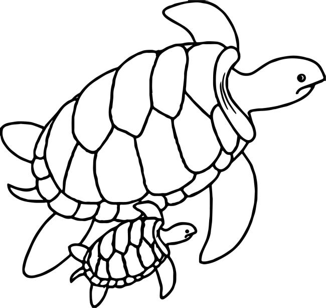 Colecție de cele mai frumoase imagini de colorat pentru broaște țestoase