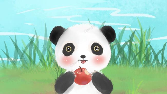 Sammlung von schönen Panda-Bildern