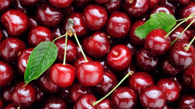 Collection of the most beautiful Cherry pictures