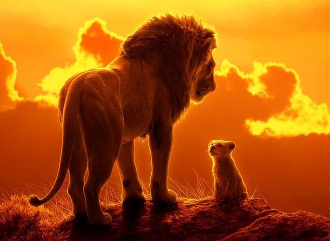 Samenvatting van de mooiste Lion-afbeelding