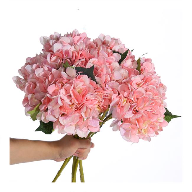 Zusammenfassung der schönsten handgehaltenen Hortensienblüten
