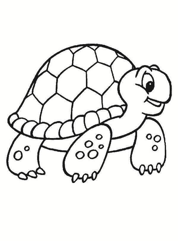Collection des plus belles images à colorier pour les bébés tortues