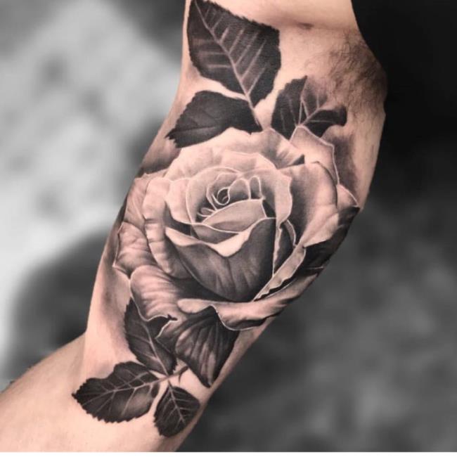 Collection des images de tatouage de rose les plus impressionnantes