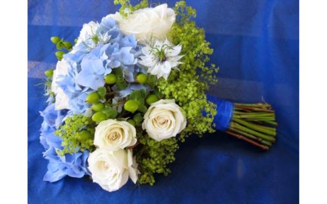 Résumé des plus belles fleurs d'hortensias portables