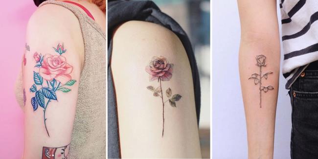 Koleksi gambar tatu mawar yang paling mengagumkan