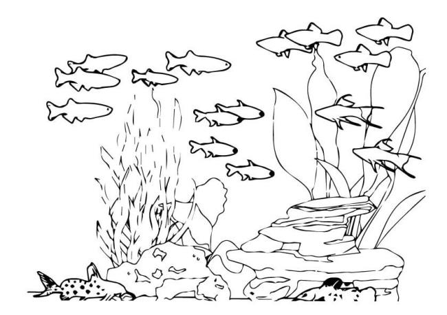 Ringkasan gambar mewarnai hewan yang hidup di bawah air