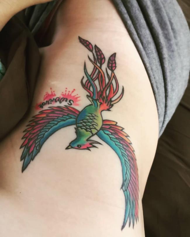 Collection of exclusive phoenix tattoo patterns for you