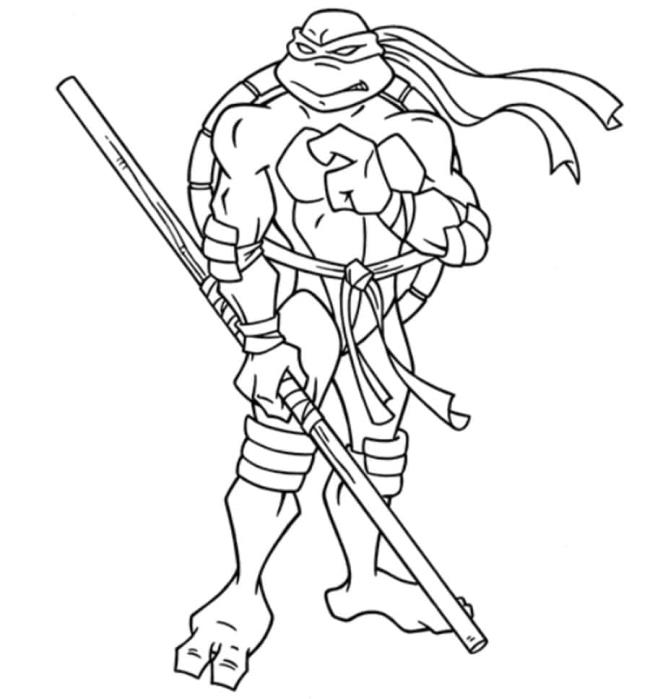 Collection of super cute Ninja turtle coloring pictures for kids