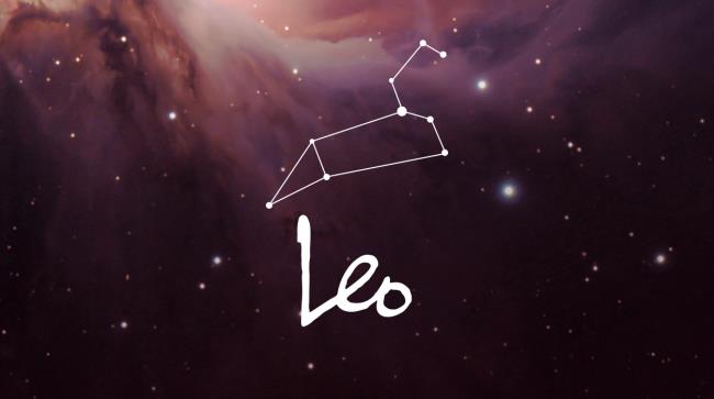 Sammlung der schönsten Leo-Fotos