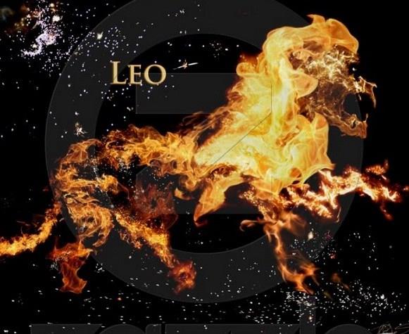Sammlung der schönsten Leo-Fotos