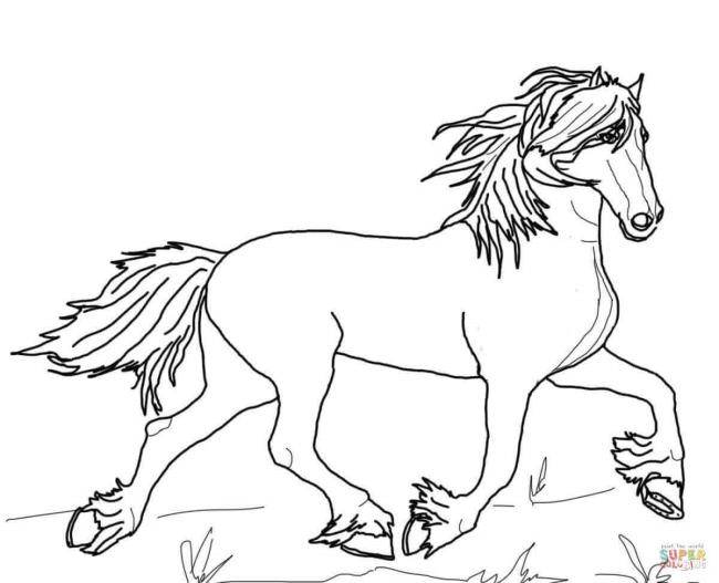 Ringkasan gambar kuda comel untuk kanak-kanak