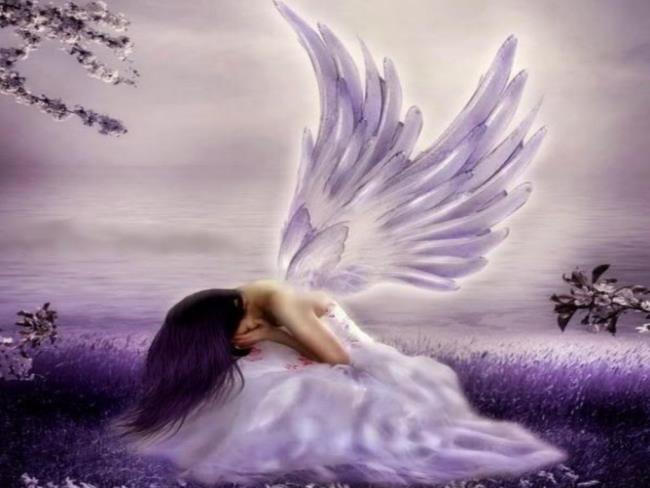 Collection of the most beautiful angel image