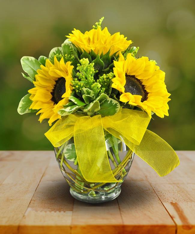 16 bunga matahari yang indah