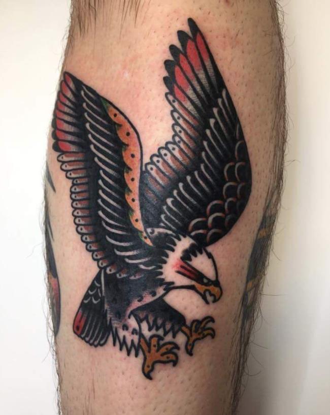Coleção de padrões de tatuagem de águia poderosos e poderosos