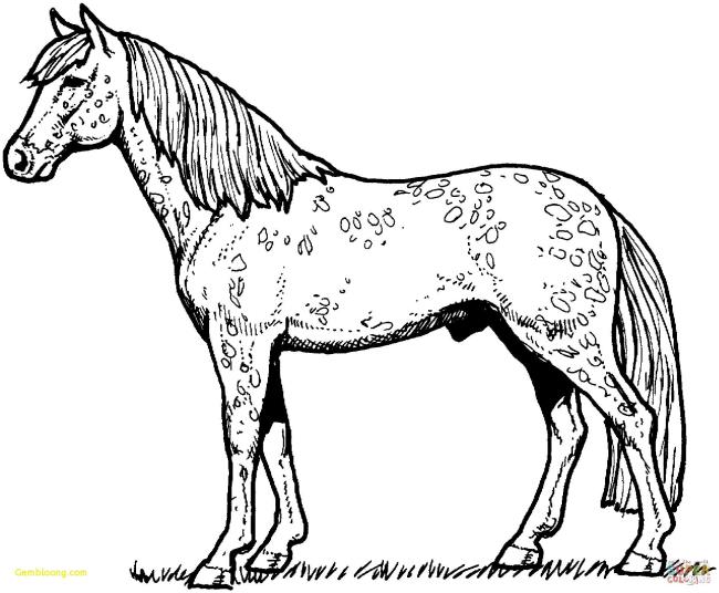 Zusammenfassung der Bilder von niedlichen Pferden für Kinder