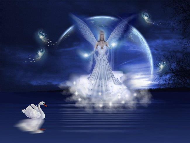 Collection of the most beautiful angel image