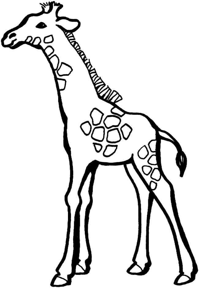 Raccolta delle migliori immagini da colorare giraffa per bambini