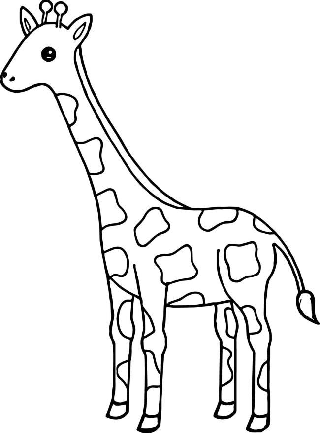 Raccolta delle migliori immagini da colorare giraffa per bambini