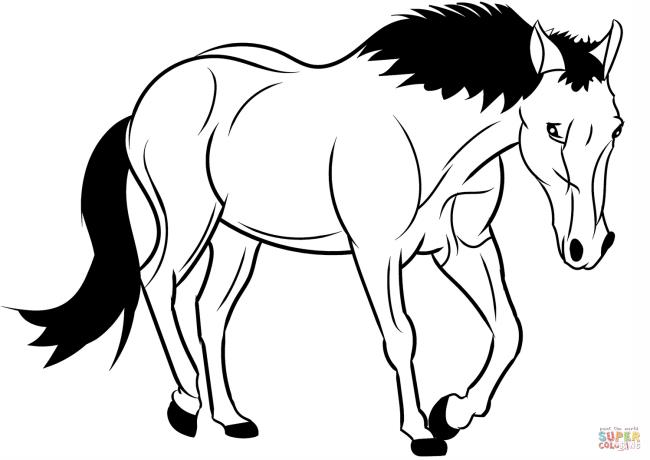 ملخص صور الخيول لطيف للأطفال