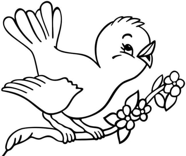 Collection of the most beautiful coloring pictures for baby birds