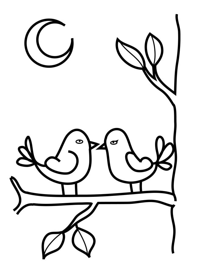 Collection of the most beautiful coloring pictures for baby birds