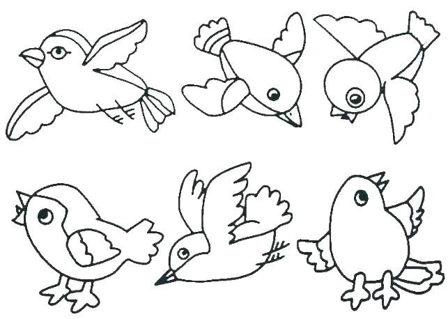 Collection of the most beautiful coloring pictures for baby birds