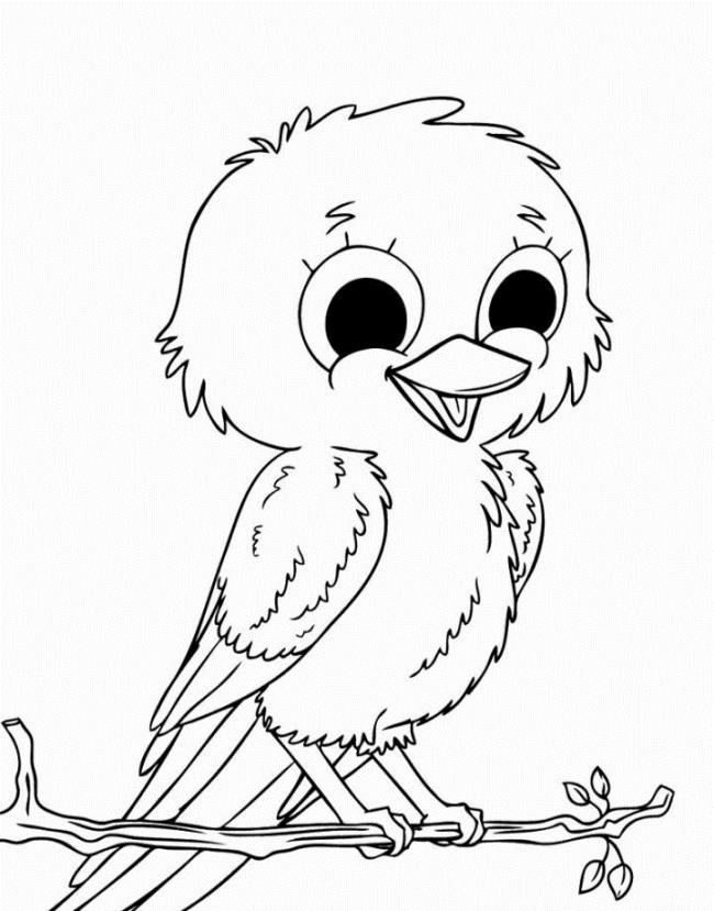Collection of the most beautiful coloring pictures for baby birds