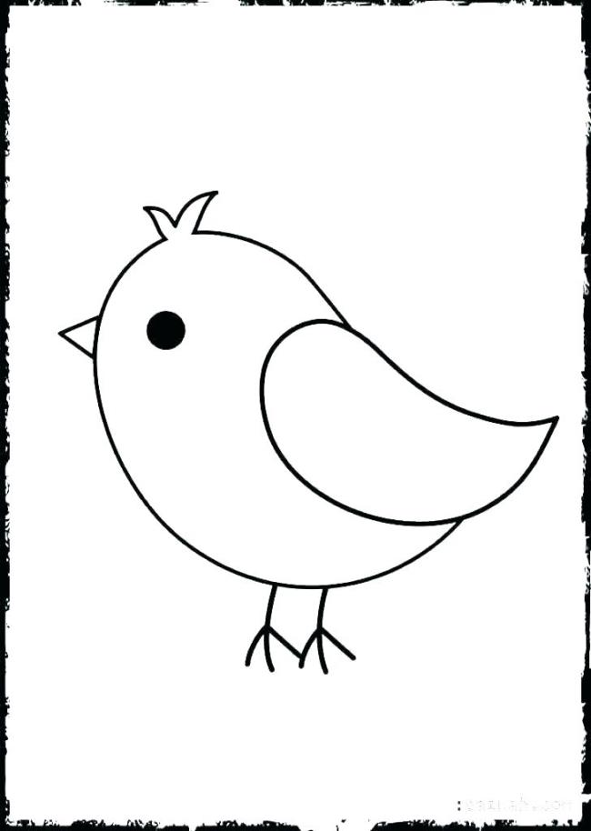 Collection of the most beautiful coloring pictures for baby birds