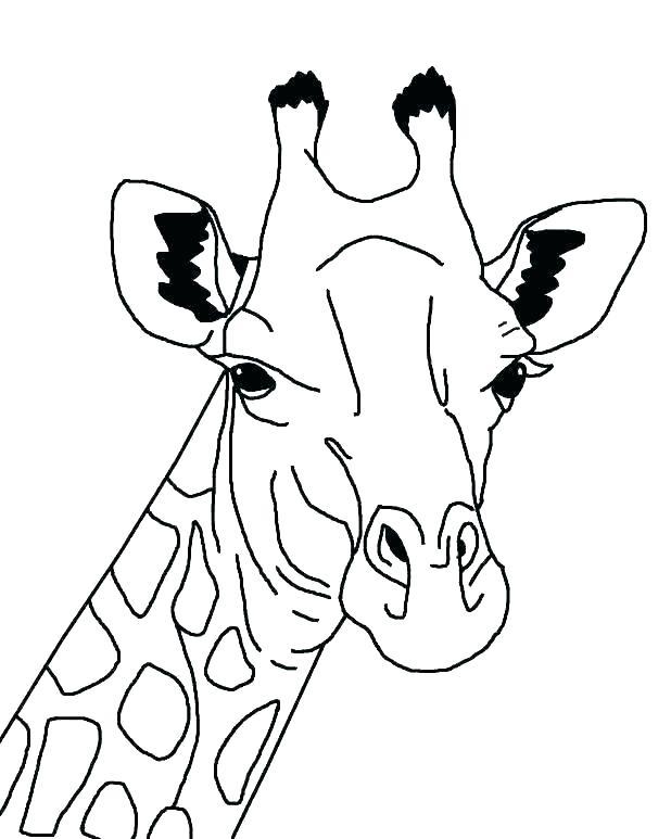 Sammlung der besten Giraffen Malvorlagen für Kinder