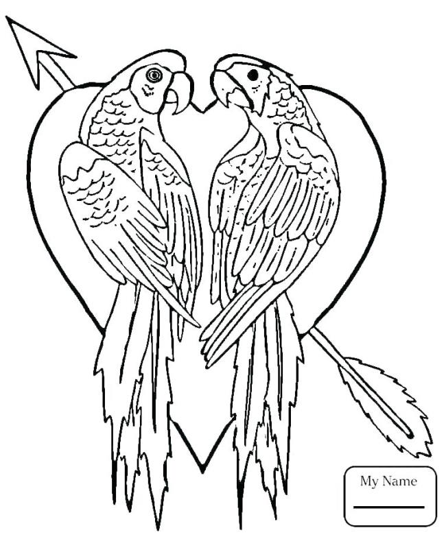 Collection of the most beautiful coloring pictures for baby birds