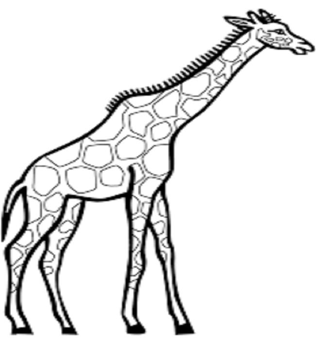 Collection of the best giraffe coloring pictures for kids