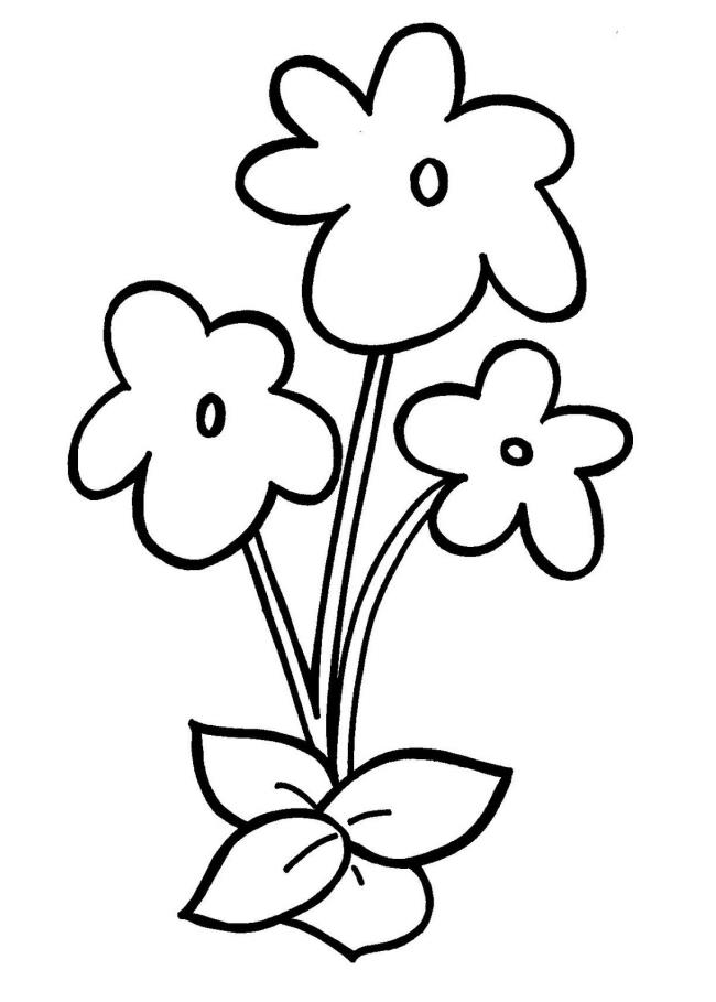 Collection of 4-year-old coloring pictures with flowers