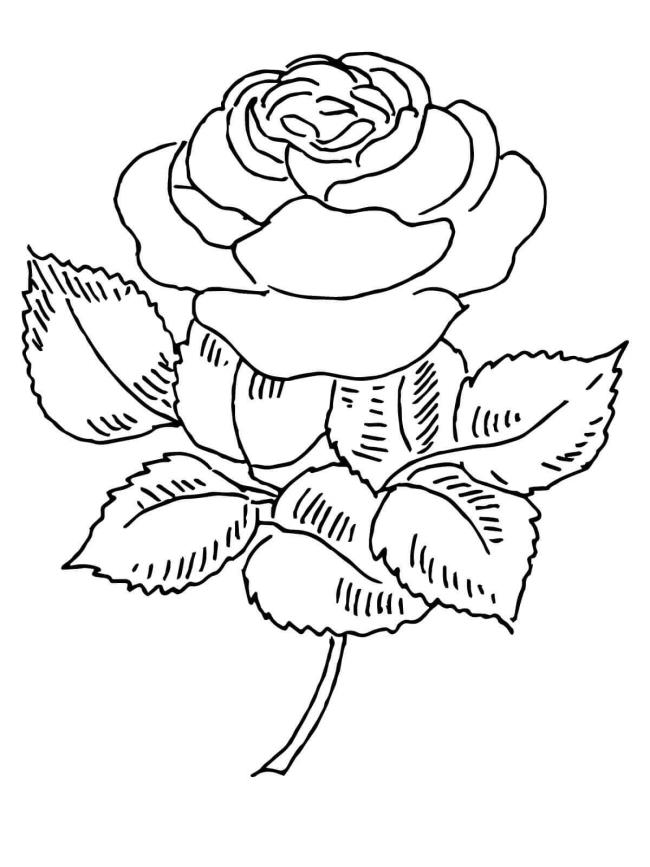Collection of 4-year-old coloring pictures with flowers