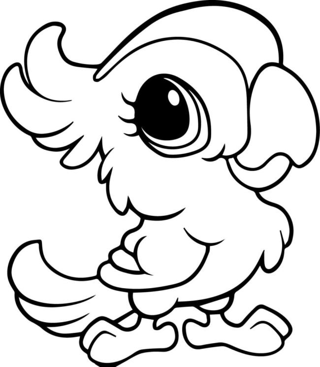 Collection of the most beautiful coloring pictures for baby birds