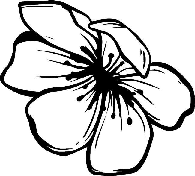 Collection of 4-year-old coloring pictures with flowers