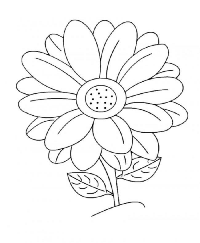 Collection of 4-year-old coloring pictures with flowers