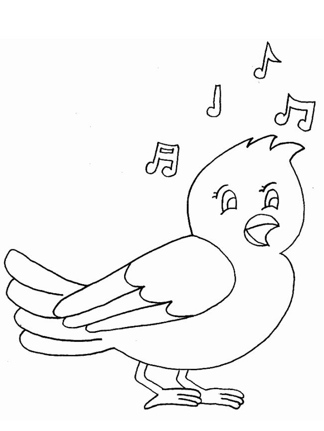 Collection of the most beautiful coloring pictures for baby birds