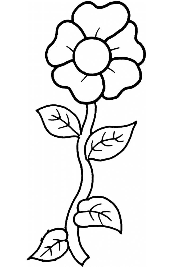 Collection of 4-year-old coloring pictures with flowers