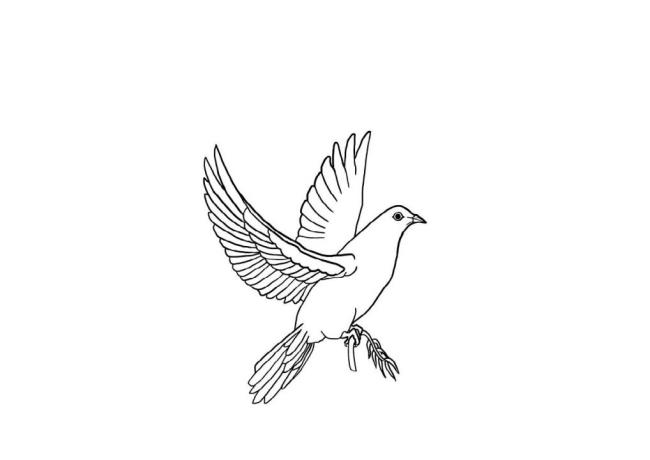 Collection of the most beautiful coloring pictures for baby birds