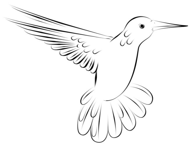 Collection of the most beautiful coloring pictures for baby birds